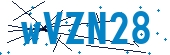 recaptcha